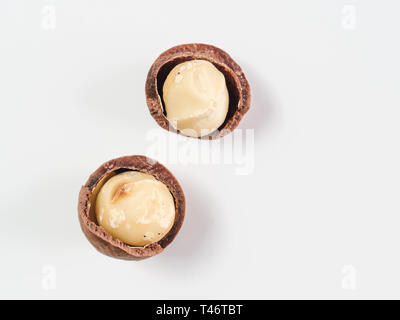 Due pelato di noci di macadamia su sfondo bianco. Set di due noci di macadamia con conchiglie aperte, isolato su bianco, vista dall'alto piatto o laici. Copia spazio per il testo. Foto Stock