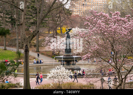 Bethesda Plaza, Angelo di acque Fontana in Springtine, NYC Foto Stock