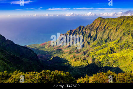 Kalalau Lookout, Koke"e del Parco Statale di Kauai, Hawaii Foto Stock