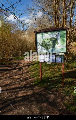 Mappa e segno lungo il percorso del bosco nel sole di primavera, Selsdon boschi, Surrey, England, Regno Unito, Europa Foto Stock