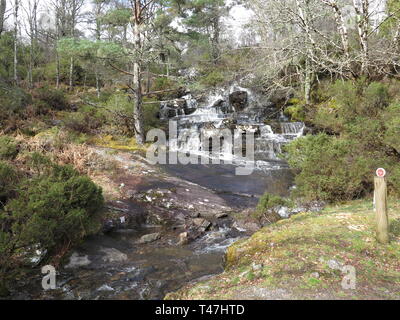 Scozia: Dundreggan Station Wagon Foto Stock