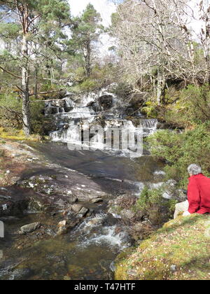 Scozia: Dundreggan Station Wagon Foto Stock