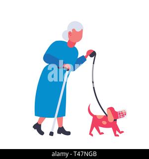 Senior donna passeggiate con il cane in volata la nonna e animale pet avente fun migliore amico concetto femmina personaggio dei cartoni animati a piena lunghezza flat Illustrazione Vettoriale