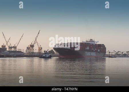 Il Gigante Yang Ming nave portacontainer, YM unanimità, entra nel Los Angeles canale principale all'alba, in corso al Porto di Los Angeles, California, USA. Foto Stock