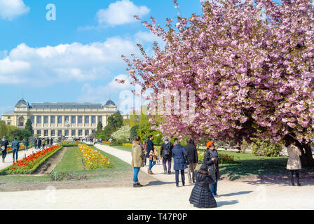 Grande evolution gallery, i turisti in visita a Grande Galerie de l'evoluzione al Jardin des Plantes, Parigi, Francia Foto Stock