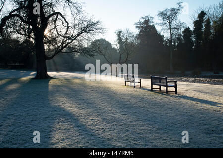 Una distesa di ghiaccio coperto di prato e giardino Panche su una mattina di febbraio a Chiswick House, Chiswick, London, Regno Unito Foto Stock