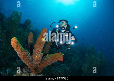 Donna subacquea subacqueo a los roques venezuela Foto Stock