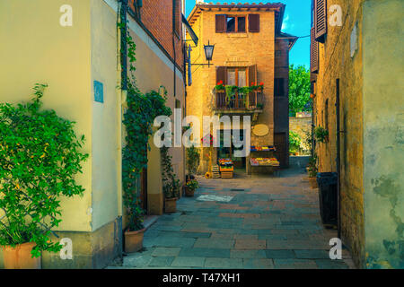 Meta turistica apprezzata in Toscana, rustico tradizionale strada decorate con fiori, piante verdi e rurali di case in pietra, Pienza, Toscana, Italia, e Foto Stock