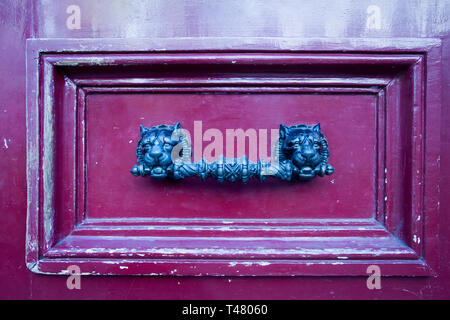 Primo piano di un vecchio textured viola porta con una maniglia in bronzo con teste di leone, Parigi, Francia. Foto Stock