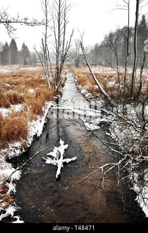 Vista da sopra il pittoresco paesaggio di un fiume durante l'inverno. Fiume coprire dalla neve. Appassiti erba alta e alberi. Tutto in bianco e marrone di colo Foto Stock