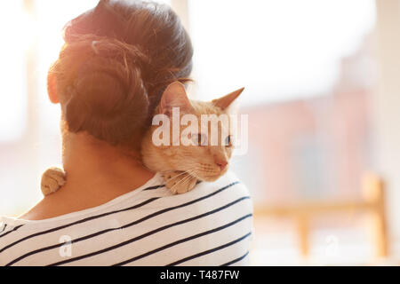 Donna che abbraccia lo zenzero Cat vista posteriore Foto Stock