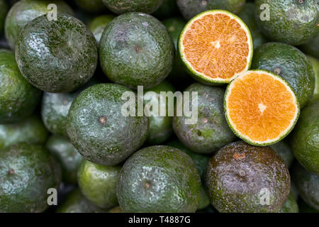 Mature di agrumi a fette giacente sulla pila di arance verde Foto Stock