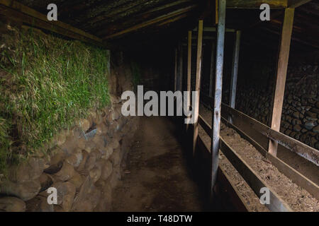 Interno del vecchio fondo erboso di sheephouse Hjardarhagi farm nell'Islanda Orientale Foto Stock