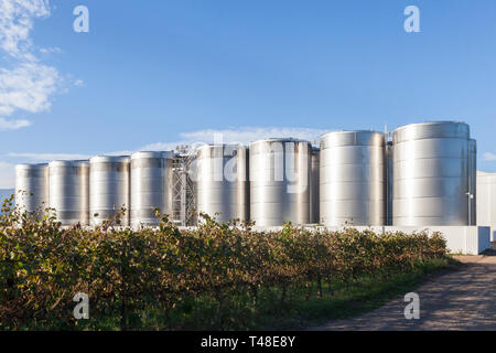 La linea esterna del vino di vasche di fermentazione con vigneto in primo piano su Van Loveren Wine Estate, Robertson Wine Valley, Western Cape Winelands, Sud Afr Foto Stock