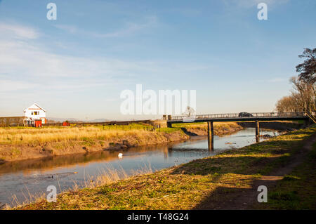 Auto attraversando Cartford ponte a pedaggio lontano dalla Casa del pedaggio con un cigno sul fiume Wyre a poco Eccleston con Larbreck Lancashire England Regno Unito Foto Stock