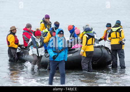 I turisti cinesi in atterraggio a punto di elefante, Livingston isola, a sud le isole Shetland, Antartide. Foto Stock