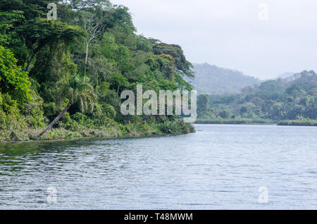 Camino de Cruces National Park, una foresta protetta denominata dopo storico sentiero utilizzato dagli Spagnoli per il trasporto di oro Foto Stock