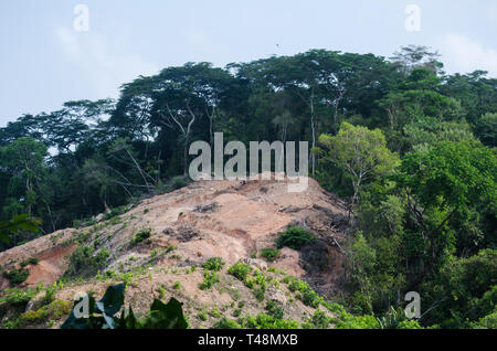 Camino de Cruces National Park, una foresta protetta denominata dopo storico sentiero utilizzato dagli Spagnoli per il trasporto di oro Foto Stock