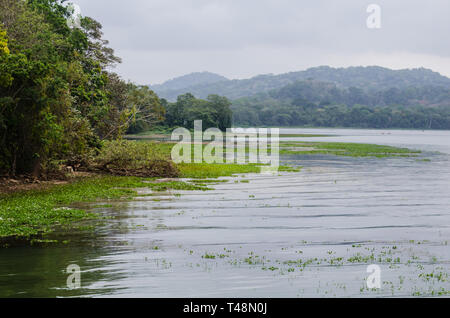 Fiume Chagres bocca in Gamboa Foto Stock