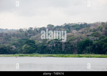 Sul Fiume Chagres e il Parco Nazionale di Soberania nella distanza Foto Stock