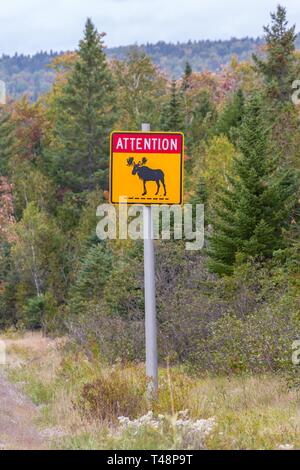 Cartello stradale, segno di avvertimento ELKS , attraversamento alci, Cross Elche Street, Maine, Stati Uniti d'America Foto Stock