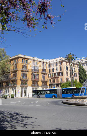 PALMA DI MALLORCA, Spagna - 9 Aprile 2019: Rosa fioriture primaverili e autobus in Plaza de la Reina Nella città in una giornata di sole il 9 aprile 2019 a Palma, Mallor Foto Stock