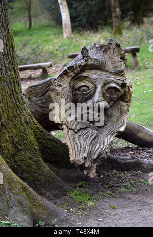 Faccia scolpita nella caduta il ramo di un albero thornham passeggiate, Suffolk, Inghilterra Foto Stock