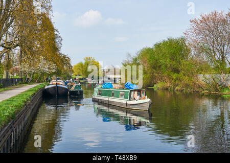 Narrowboat sul fiume Lea in primavera, nei pressi di Markfield (Park, Sud Tottenham, London REGNO UNITO Foto Stock