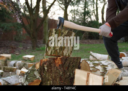 Legno di trinciatura con ax in mani. Legna da ardere la preparazione per l'inverno. Visualizzazione dinamica. Foto Stock