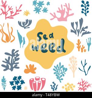 Le piante del mare e acquario di vettore di alghe marine set. La natura delle alghe marine doodle silhouette illustrazione Illustrazione Vettoriale