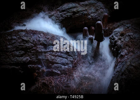 Spooky Halloween Scena di funghi in una foresta infestata con la nebbia illuminata dalla luna Foto Stock