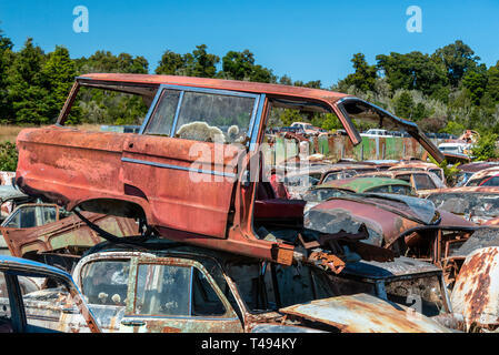 Un abbandonato arrugginiti e rotture di Ford Falcon wagon, auto in un'auto wrecking yard. Motori Horopito, o 'Smash Palace", Nuova Zelanda Foto Stock