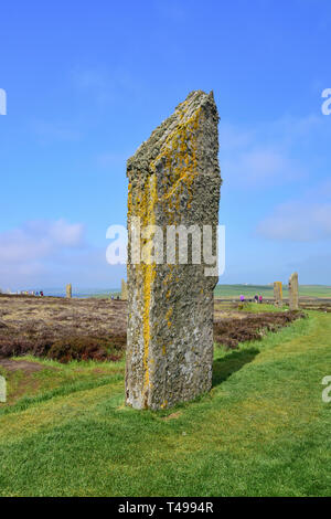 Neolitico pietre permanente, anello di Brodgar, vicino Stromness, Continentale, Orkney Islands, Isole del Nord, Scozia, Regno Unito Foto Stock