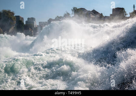 Le Cascate del Reno è la cascata più grande in Europa in Schaffhausen, Svizzera. Giornata estiva con Sun Foto Stock