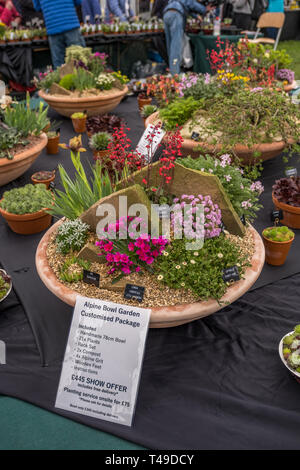 Cardiff, Galles, UK. 04/12/2019 RHS Cardiff Flower Show Foto Stock