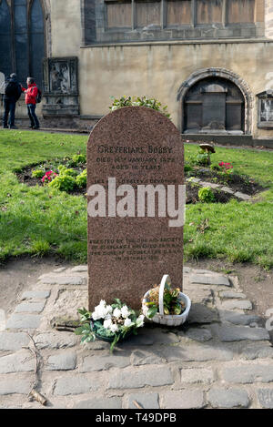 Greyfriars Bobby pietra tombale, Edimburgo, Scozia, Regno Unito, Europa Foto Stock