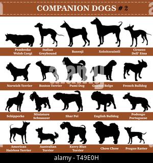 Set di 20 cani companion. Set di vettore del compagno di razze di cani in piedi nel profilo. Isolate i cani di razza set di sagome in colore nero su bianco backgro Illustrazione Vettoriale