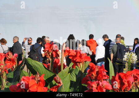 Cascate del Niagara, Canada - 10 settembre 2018 - Arcobaleno di persone e gigli Canni a tavola Rock Visualizzazione Horseshoe Falls - EDITORIALE Foto Stock