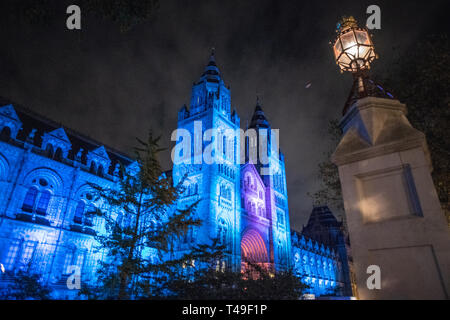 Museo di Storia Naturale di notte - Londra Foto Stock