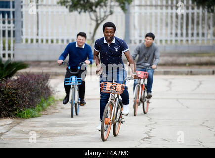 (190415) -- CHANGSHA, 15 aprile 2019 (Xinhua) -- Mangeh III Fondzenyuy Cedric (anteriore) e i suoi compagni di scuola andare a scuola in bici a Hunan Università Agricola in Changsha, centrale provincia cinese di Hunan, Marzo 14, 2019. Il 25-anno-vecchio Cedric è dal Camerun. Dopo aver assistito alle imprese cinesi' agricola avanzata per la scienza e la tecnologia e le attrezzature, egli è venuto in Cina nel 2017 e ha studiato come un diploma di specializzazione in meccanizzazione agricola engineering nella scuola di ingegneria di Hunan Università Agricola dopo aver completato i suoi studi universitari. Cedric principalmente studi agric Foto Stock