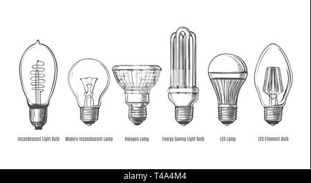 Bianco e nero lampadine sketch. Lampadine evoluzione retrò schizzo illustrazione vettoriale, vintage disegnati a mano lampade Illustrazione Vettoriale