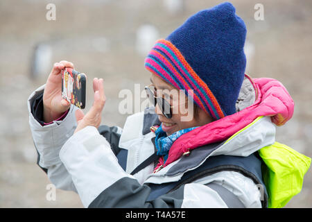 I turisti cinesi guardare i pinguini Gentoo a Hannah Point, Livingston isola, a sud le isole Shetland, Antartide. Foto Stock