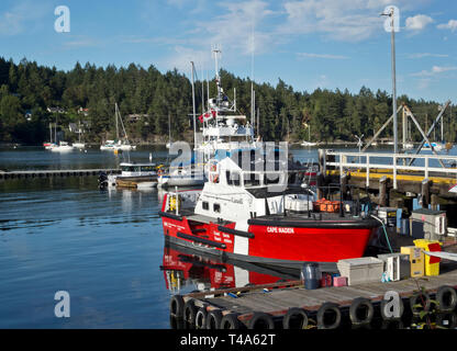 La Guardia Costiera canadese nave "Cape Naden' ormeggiata nel porto di Gange sulla molla di sale isola, BC, Canada. Foto Stock