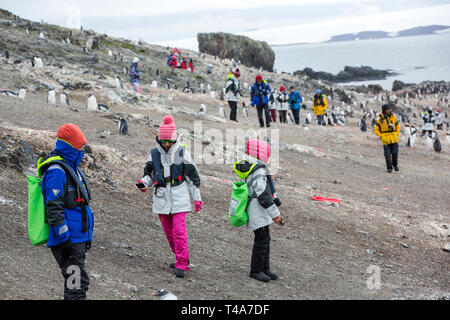 I turisti cinesi guardare i pinguini Gentoo a Hannah Point, Livingston isola, a sud le isole Shetland, Antartide. Foto Stock