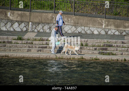 Passeggiate con il cane lungo il fiume Kamo a Kyoto in Giappone 2015 Foto Stock