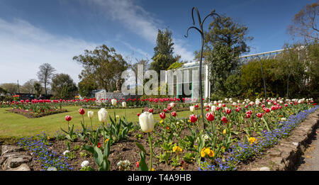 Il giardino botanico a parco Singleton Foto Stock