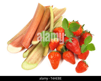 Fragole e rabarbaro su sfondo bianco Foto Stock