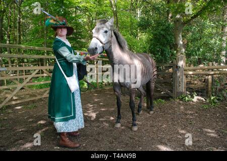 Rebecca Townsend con Zulu il zorse, un incrocio tra una zebra stallone e cavallo mare. Zulu madre era un Arabo grigio e suo padre concede una zebra. Foto Stock