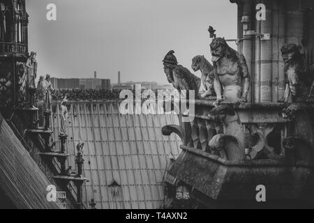 Mitica creatura gargoyle sul tetto della cattedrale di Notre Dame de Paris. Vista dalla torre. Foto Stock