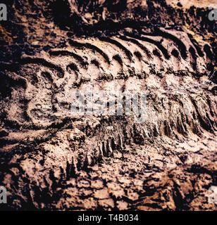 Tracce di pneumatici nel fango Foto Stock